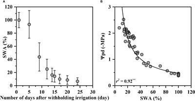 From comfort zone to mortality: Sequence of physiological stress thresholds in Robinia pseudoacacia seedlings during progressive drought